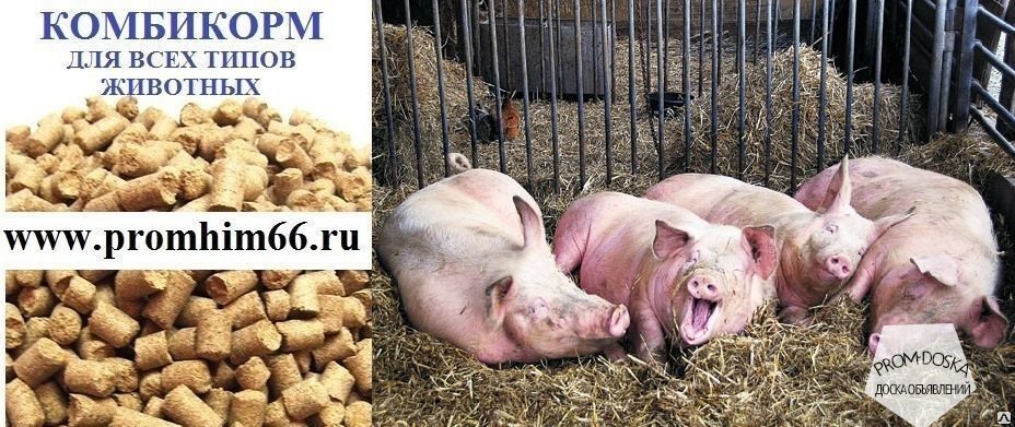 Комбикорм гранулированный для свиней