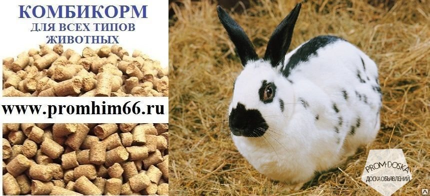 Комбикорм гранулированный для кроликов