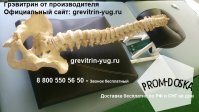 Тренажер `Грэвитрин - Мини` для лечения заболеваний позвоночника